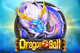 game item photo